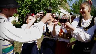 5. Berba Grozdja Dolovo 2017