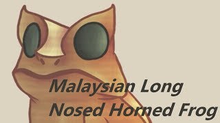 Herp Corner Episode 4; Malaysian Long Nosed Horned Frog (Megophrys nasuta)
HEY heres another episode of this little thing, I hope you enjoy it!
Sources:
https://en.wikipedia.org/wiki/Long-nosed_horned_frog
http://www.amphibians.org/amazing-amphibians/long-nosed-horned-frog/
http://www.reptilesmagazine.com/Malayan-Horned-Frog-Information-And-Care/
http://www.reptilesmagazine.com/Frogs-Amphibians/Malaysian-Horned-Frogs/
http://www.joshsfrogs.com/catalog/blog/2018/02/malaysian-horned-frog-care/
https://www.inaturalist.org/taxa/24606-Megophrys-nasuta
http://www.amphibianark.org/long-nosed-horned-frog/
Where to find me:
google plus: https://plus.google.com/1070857743202...
deviantart: https://drinkssss.deviantart.com/
tumblr: https://drinksss.tumblr.com/
Instagram: https://www.instagram.com/drinksssss/
skype: drinks
discord: drinks#8108
Redbubble: https://www.redbubble.com/people/drin...
Patreon: https://www.patreon.com/drinkss
Twitter: https://twitter.com/Quinn83384652 Herp Corner Episode 4; Malaysian Long Nosed Horned Frog (Megophrys nasuta)