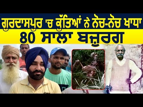 Breaking: Fatehgarh Churian में Dogs ने 80 साल के बुजुर्ग को नोच-नोच कर उतारा मौत के घाट