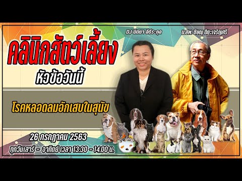 โรคหลอดลมอักเสบในสุนัข : FM91 คลินิกสัตว์เลี้ยง : 26 กรกฎาคม 2563