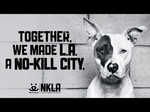 NKLA Retrospective: Making Los Angeles A No-Kill City