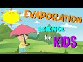 The Science Behind Evaporation and Its Role in the Water Cycle