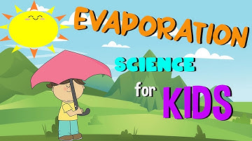 What is Evaporation | Science for Kids
