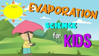 What is Evaporation | Science for Kids