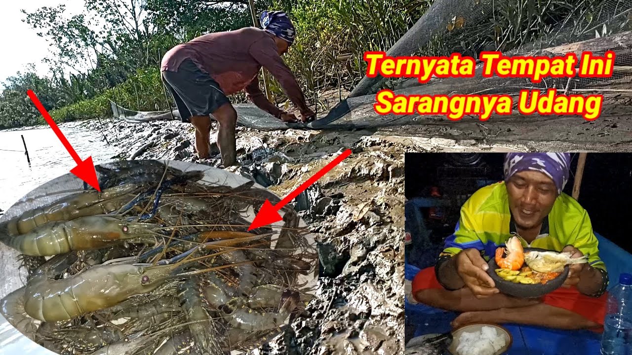 Pasang Perangkap dan Bermalam Sambil Mancing Udang Hasilnya Langsung Dimasak Untuk Makan Malam