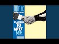 The Replacements - Pleased to Meet Me