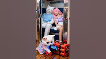 Mèo mẹ bị ném xuống biển, mèo con trả thù cho mẹ #kechuyen #phimhoạthình #meow