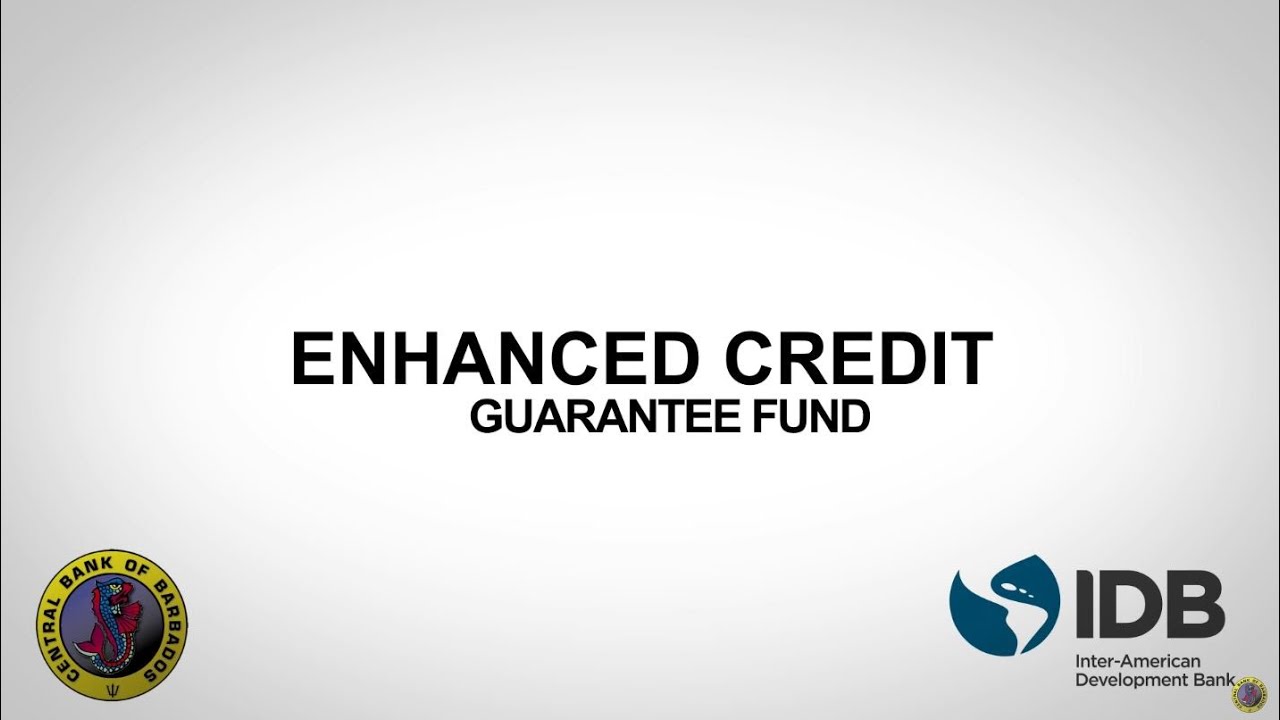 The Enhanced Credit Guarantee Fund YouTube