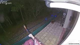 Real Fairy caught on Ring Security Camera?