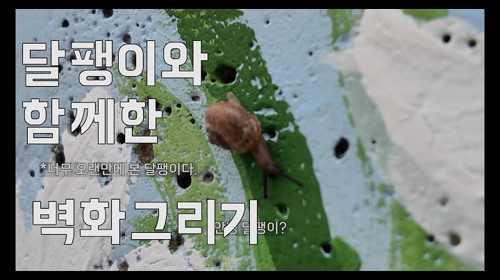달팽이와 함께 한 벽확 그리기!  | 국내여행 초간자 - 전주 벽화 🇰🇷