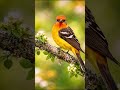 Morning Birdsong 🌳 Real Bird Sounds &amp; Bird Singing || Spring Awakening 2026 Nature Sounds.