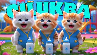 Kucing Lucu Pok Ame ame Cilukba 🐱 Kucing Joget Pok Ame-Ame Belalang Kupu-kupu Cilukba Viral Terbaru