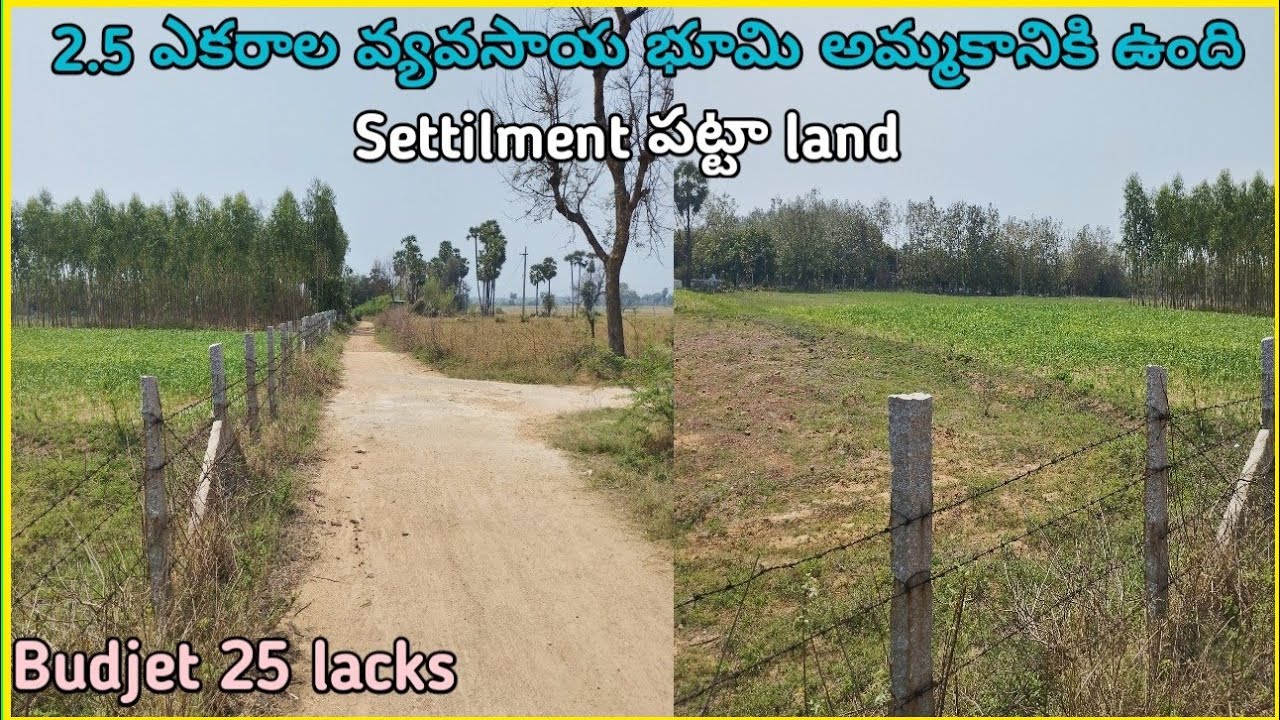 2.5acres agriculture farm land for sale at low budjet road facing