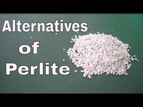 Perlite नहीं हो तो क्या उपयोग करे ? What is Alternatives Of Perlite  - 15 Aug 2017/Mammal Bonsai