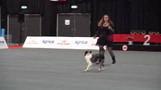 Alena Smolikova+Foxy FCI World Dog Dancing Championship, Freestyle