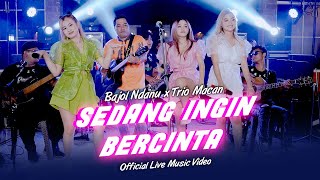 Bajol Ndanu x Trio Macan - Sedang Ingin Bercinta (Official Music Video) | Live Version