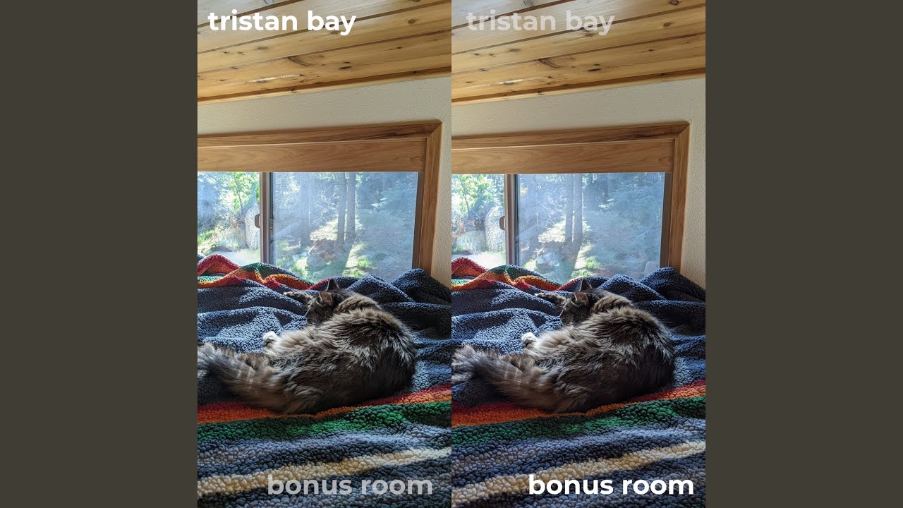 Watch Wednesday Machine on YouTube Watch Wednesday Machine on YouTube