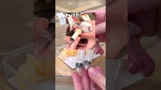 This Small & Syringe Bottle Is Perfect For Newborn Kittens, Puppies, Rabbits, & More