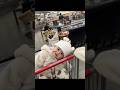 #JasonDeruloTV // Shopping With Baby In Grocery Store 🥹 IG @la.gance