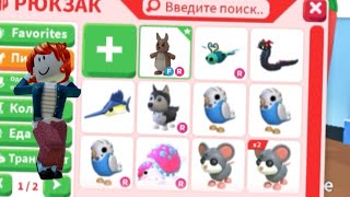 :     #4 !    ?    !    