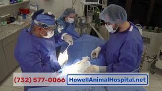 Howell Animal Hospital screenshot 1