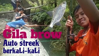 Mancing mania || mancing di sungai pinggir jalan || fishing mania/mancing ambyar || bocah petualang