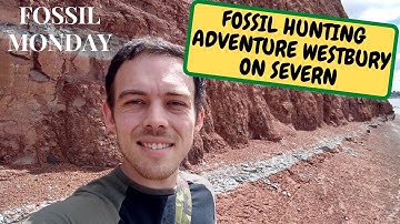 FOSSIL HUNTING ADVENTURE WESTBURY ON SEVERN (Snake Island Exotics)