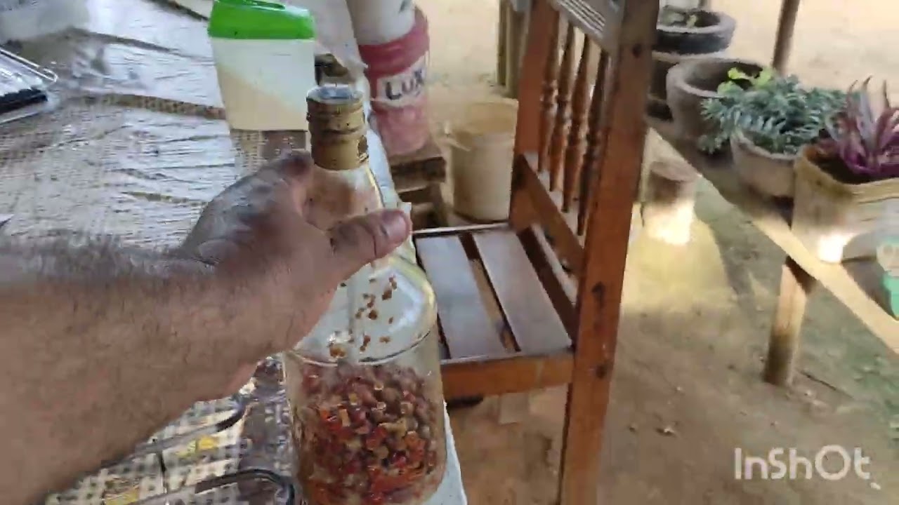 Vende se essa parcela no Engenho Conha Água Preta Pernambuco 180 mil (081)996309085