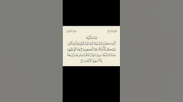 مصحف المراجعة | سورة الأنفال، مقدمة المقطع الثاني