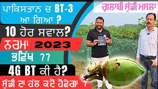 ਗੁਲਾਬੀ ਸੁੰਡੀ ਹੱਲ ਕਦੋਂ ਹੋਵੇਗਾ ? cotton crop 10 question you must know