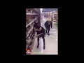 FUNNY SHORT VIDEOS