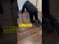 賃貸和室にウッドカーペットを敷いたら継ぎ目が浮いてくるので両面テープで処理しました。#shorts # #diy #賃貸diy #和室#ウッドカーペット#和室DIY
