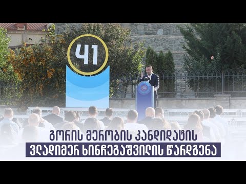 გორის მერობის კანდიდატის ვლადიმერ ხინჩეგაშვილის წარდგენა