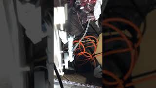 IMG 4319
