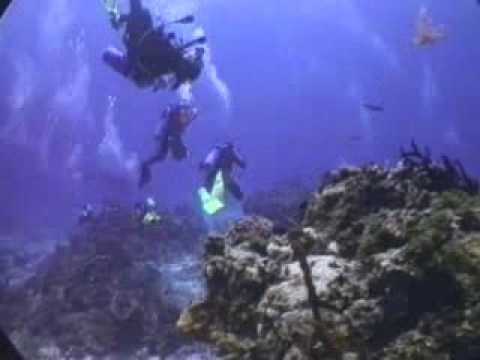 PADI Drift Diver 