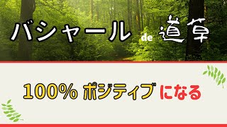 【バシャール】ネガティブとは、光があれば影があるようにただの現象。そこに良いも悪いもない。岩瀬アキラさんの翻訳動画「100%ポジティブ」になるとどうなる？を観てゆるっと語ってます。