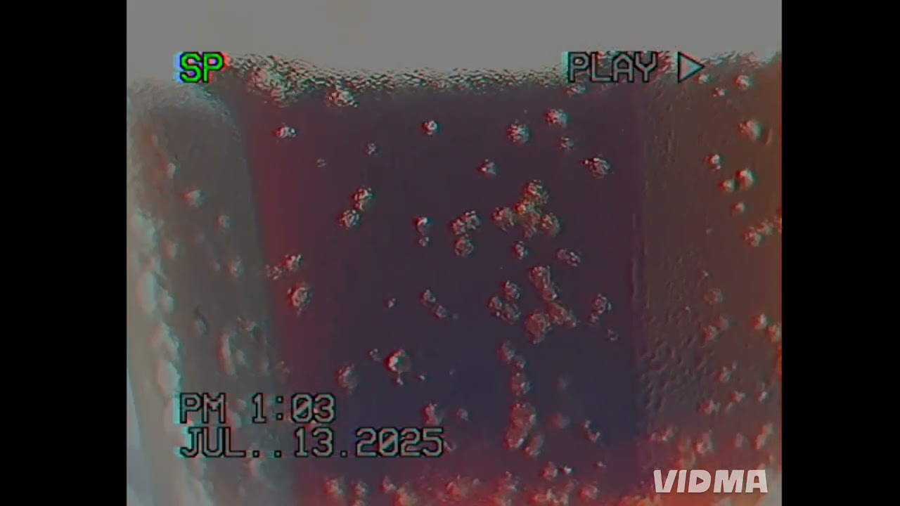 $NOT - GOSHA (TOP $HELF Remix) 🇺🇸