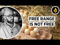 Free Range Eggs: It's all Rather Confusing...