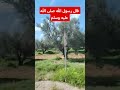 اللهم صل وسلم وبارك على سيدنا محمد Shorts Shortvideo Trending Explore شورت ستوريات احاديث