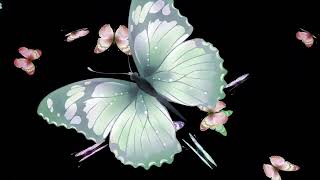 Boris Brejcha - Butterflies (Original Mix)