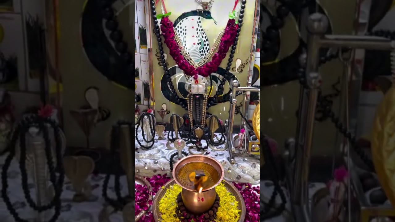 JAY GOGA MAHARAJ GUJARATI NEW RIL... 