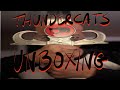 Heroclix Iconix Thundercats Unboxing