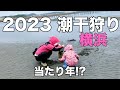 【無料で潮干狩り】雨上がりに野島公園で１時間だけ潮干狩りしてみたら・・・【横浜】【2023.3】