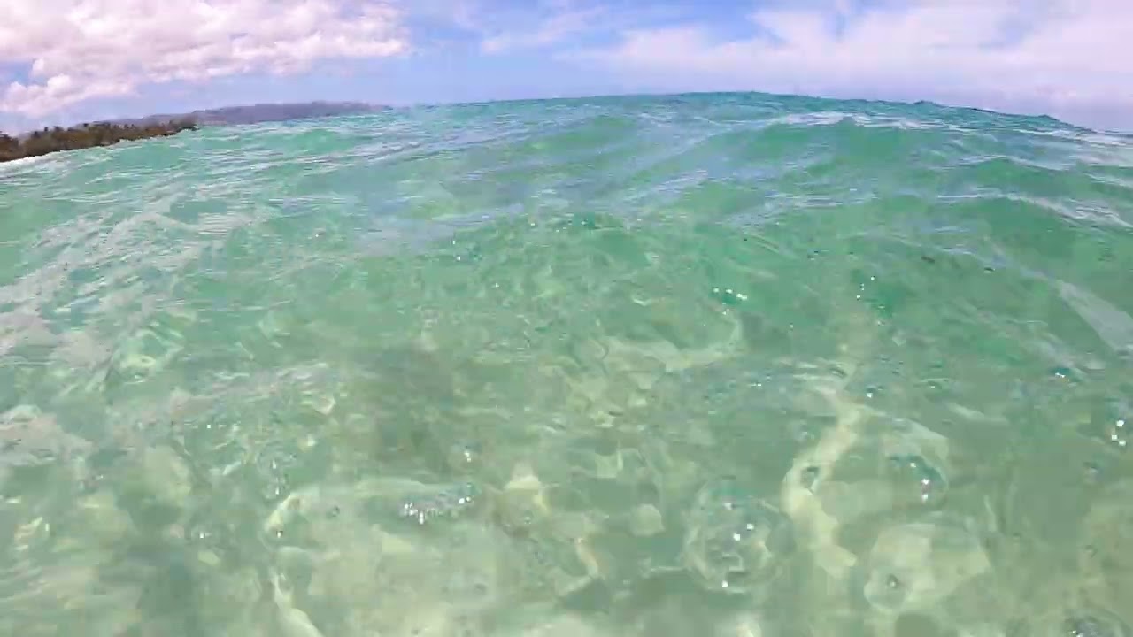 Laniakea Beach Turtles