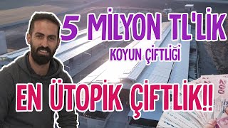 5.000.000 TL'lik ÜTOPİK Çiftlik (4000 baş hayvan kapasiteli) - Çobanın Sesi