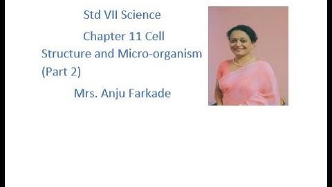 Science Chapter 11 Cell Structure and Micro-Organisms (part 2) std 7