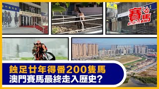 競馬講故澳門賽馬200年興衰 始終要靠賭王何鴻燊！澳娛收購澳門賽馬會撬HKJC人馬開荒 韋敬誠做CEO搞比賽戴圖理都客串！香港禁跨境賭博搞死馬交 港澳埠際賽成歷史！CC中文字幕#賽馬FactCheck