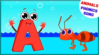 Animal Song | Phonics Song for Toddlers | Phonics Sounds of Alphabet A to Z | English Alphabet