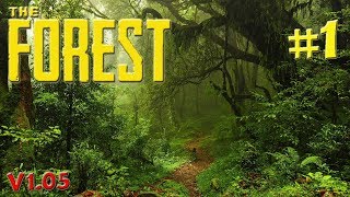 The Forest 01 - KATANA / SK/CZ / 1080p 60fps HD