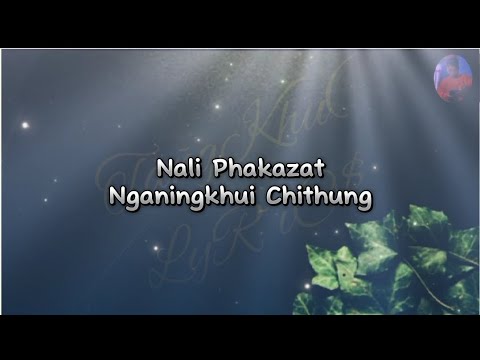 Nali Phakazat  lyrics  music  video  Nkpeditxx